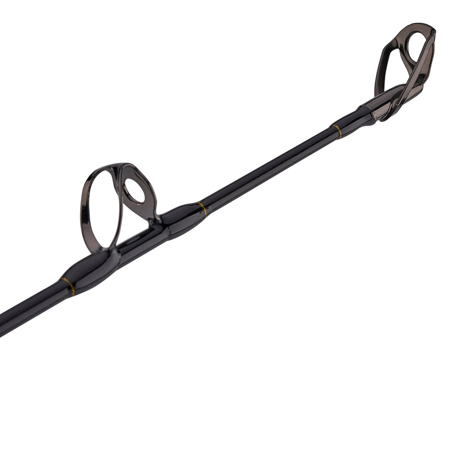 PENN Squall® II Lever Drag Conventional Rod & Reel Combo